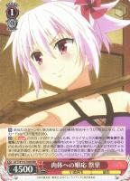 【ヴァイス】ＲＲＲ◇肉体への順応　祭里