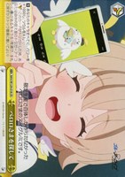 【ヴァイス】CR◇ペロロさまを探して
