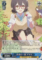 【ヴァイス】R◇青春の一幕 アヤネ