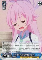 【ヴァイス】R◇アビドス高等学校 ホシノ