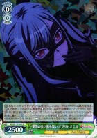 ヴァイス　D_cide パーツ　まとめ売り ALL ITEM | カードショップ一誠