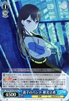 カードを買う/ヴァイスシュヴァルツ/2025年度作品/MyGO
