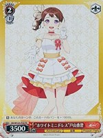 ヴァイスシュヴァルツ ノーマルまとめ売り 14.5キロ 2025年最新】Yahoo!オークション -ヴァイスシュヴァルツ まとめ