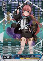 【ヴァイス】ＢＤＲ）箔押し◇“エキサイトパフォーム”チュチュ