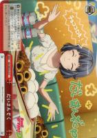 【ヴァイス】C)ノーマル仕様◇だいまんぞく