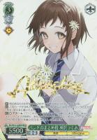カードを買う/ヴァイスシュヴァルツ/2023年度作品/プレミアム