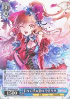 【ヴァイス】Ｎ◇日々の積み重ね　今井リサ