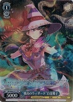 【ヴァイス】PR◇“孤高のウィザード”白金燐子