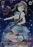 【ヴァイス】PR◇“Astral Harmony”花園たえ