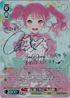 【ヴァイス】SSP)サイン付◇“一緒に描く物語”丸山彩