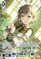 カードを買う/ヴァイスシュヴァルツ/2025年度作品/ カード