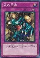 2週間限定出品！【エラーカード】 ネームズレ 竜脚獣ブラキオン 遊戯王 - 遊戯王 竜脚獣ブラキオン 韓国版 ウルトラレア UR PP04