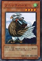 【遊戯王】ノーマル◇ソニックバード