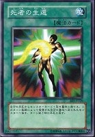 【遊戯王】ノーマル)魔法◆死者の生還