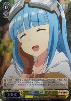 【ヴァイス】ＳＲ◇無限の探求　イズ