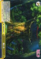 【ヴァイス】ＣＣ◇楓の木