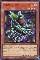 捕食植物オフリス・スコーピオ