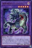 捕食植物アンブロメリドゥス