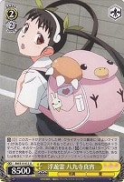 不動の寡黙 阿良々木暦【ヴァイスシュヴァルツトレカお買得価格