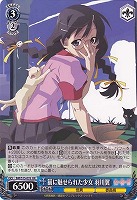 【ヴァイス】RR◇猫に魅せられた少女 羽川翼