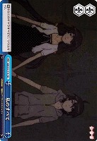 【ヴァイス】ＴＤ◇私のすべて