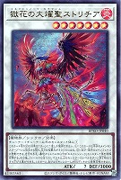 【遊戯王】ウルトラレア◇獄花の大燿聖ストリチア