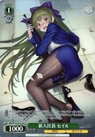 新入社員 セイル