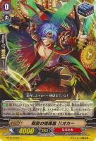 【ヴァンガード】C◇戦鼓の喧嘩屋 ハオカー