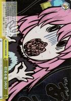 【ヴァイス】RRR◇将来を憂う叫び