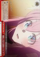 【ヴァイス】CC◇幾度と見た妄想のライブ