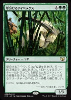 野生のつがい マジックザギャザリングトレカお買得価格通販 トレコロ 野生のつがい マジックザギャザリングトレカお買得価格通販 トレコロ