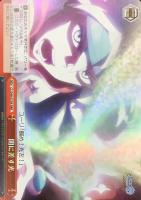 【ヴァイス】RRR◇闇に差す光