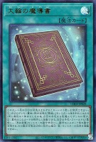 大輪の魔導書