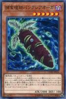 【遊戯王】ノーマル)モンスター◇捕食植物バンクシアオーガ
