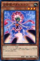 【遊戯王】ノーマル)モンスター◇占術姫ペタルエルフ(センジュツキ)