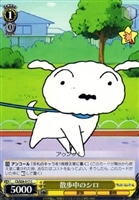 【ヴァイス】Ｃ◇散歩中のシロ