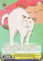 【ヴァイス】Ｃ◇ニャーコ