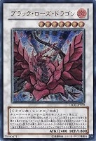 Amazon.co.jp: 遊戯王カード ブラックフェザー・ドラゴン