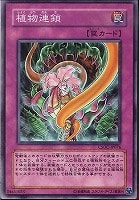 【遊戯王】ノーマル◇植物連鎖