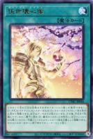 遊戯王 - トントンさん専用 トン＝トン【遊戯王トレカお買得価格通販：トレコロ】