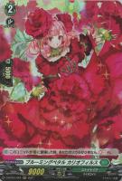 【ヴァンガード】H◇ブルーミングペタル カリオフィルス