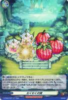 【ヴァンガード】RR◇わくわくの実