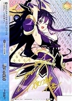 【ヴァイス】AGR)サイン付◇戦いの行方