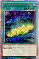 遊戯王　星杯の神子イヴ 20th 遊戯王】 星杯の神子イヴ 20thシークレット | トレカの激安通販