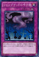 宮廷のしきたり【遊戯王トレカお買得価格通販：トレコロ】