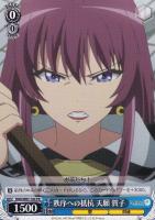 【ヴァイス】プロモ◇秩序への抵抗 天願 賀子
