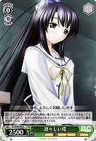 【ヴァイス】C◇凛々しい環