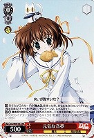 【ヴァイス】RR◇元気な音夢