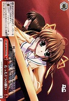 【ヴァイス】CC◇たった1つの願い