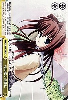 【ヴァイス】TD◇桜の咲く季節に